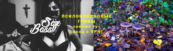 дживик Армянск