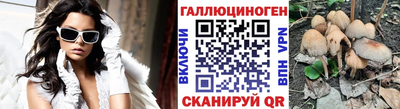 shop официальный сайт  Семилуки  Галлюциногенные грибы Psilocybine cubensis 